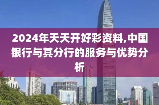 2024年天天开好彩资料,中国银行与其分行的服务与优势分析