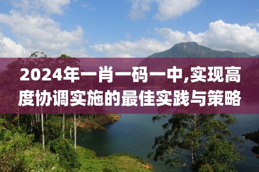 2024年一肖一码一中,实现高度协调实施的最佳实践与策略