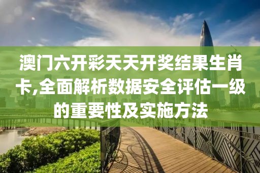 澳门六开彩天天开奖结果生肖卡,全面解析数据安全评估一级的重要性及实施方法