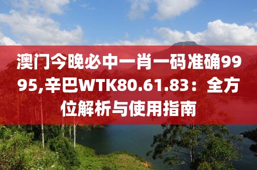 澳门今晚必中一肖一码准确9995,辛巴WTK80.61.83：全方位解析与使用指南