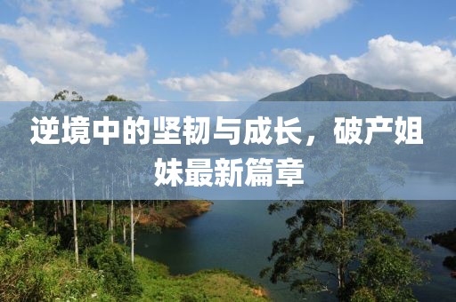 逆境中的坚韧与成长，破产姐妹最新篇章