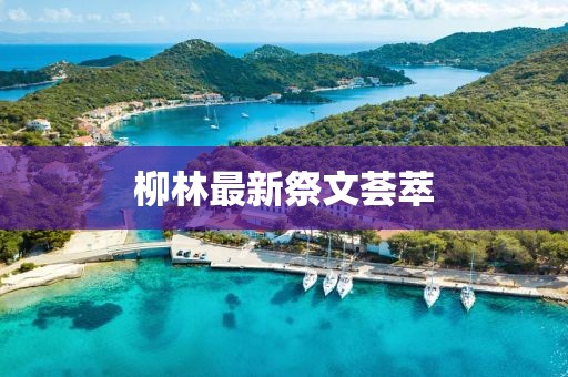 柳林最新祭文荟萃