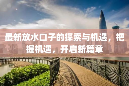 最新放水口子的探索与机遇，把握机遇，开启新篇章