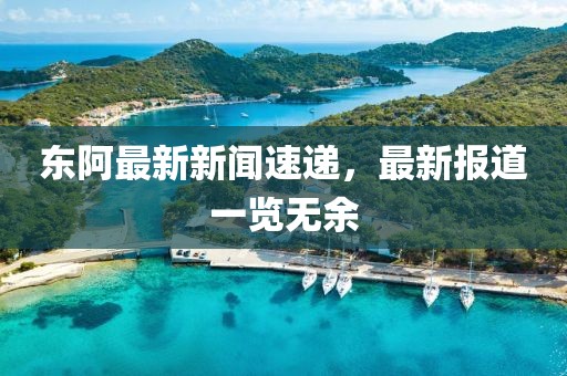 东阿最新新闻速递，最新报道一览无余