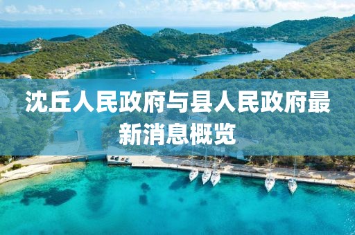 沈丘人民政府与县人民政府最新消息概览