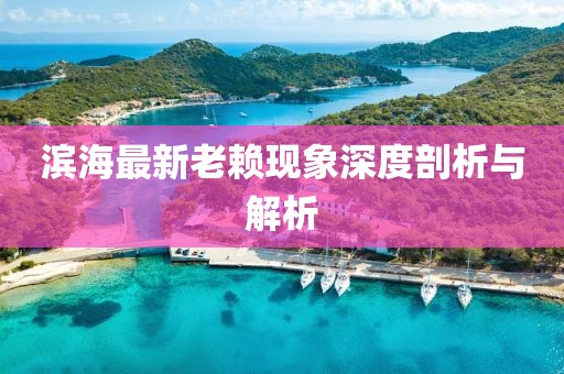 滨海最新老赖现象深度剖析与解析