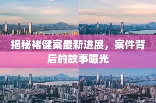 揭秘褚健案最新进展，案件背后的故事曝光