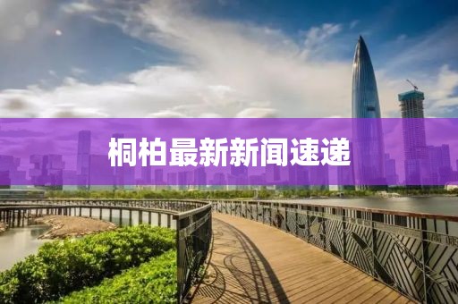 桐柏最新新闻速递
