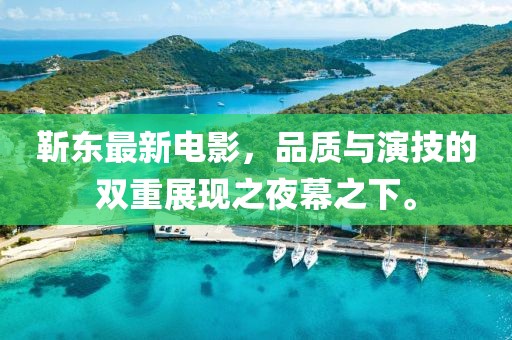 靳东最新电影，品质与演技的双重展现之夜幕之下。
