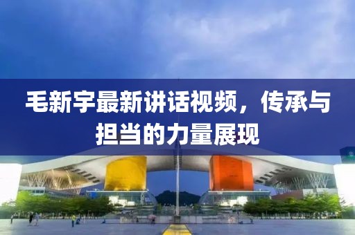 毛新宇最新讲话视频，传承与担当的力量展现