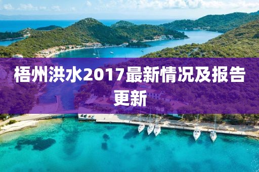 梧州洪水2017最新情况及报告更新