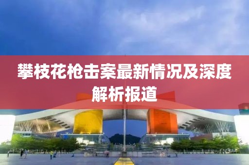 攀枝花枪击案最新情况及深度解析报道