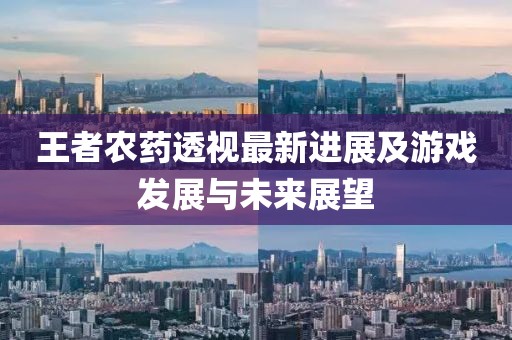 王者农药透视最新进展及游戏发展与未来展望