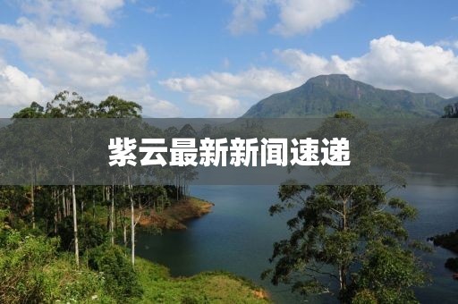 紫云最新新闻速递