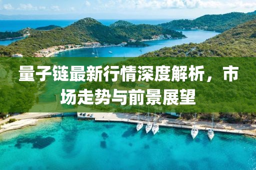 量子链最新行情深度解析，市场走势与前景展望