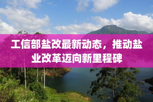 工信部盐改最新动态，推动盐业改革迈向新里程碑