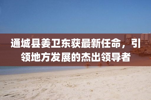 通城县姜卫东获最新任命，引领地方发展的杰出领导者