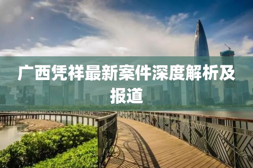 广西凭祥最新案件深度解析及报道