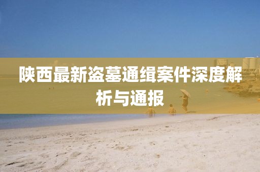 陕西最新盗墓通缉案件深度解析与通报