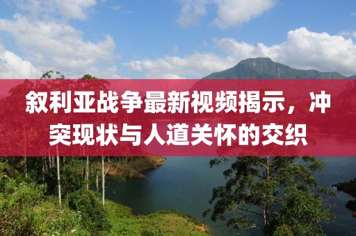 叙利亚战争最新视频揭示，冲突现状与人道关怀的交织