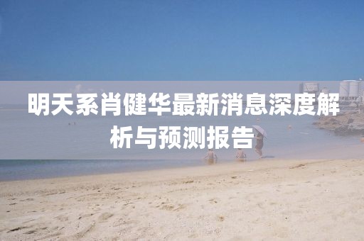 明天系肖健华最新消息深度解析与预测报告