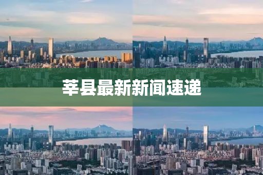 莘县最新新闻速递