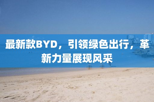 最新款BYD，引领绿色出行，革新力量展现风采