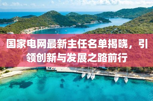 国家电网最新主任名单揭晓，引领创新与发展之路前行