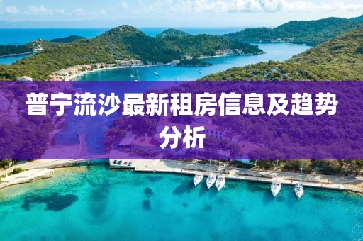 普宁流沙最新租房信息及趋势分析