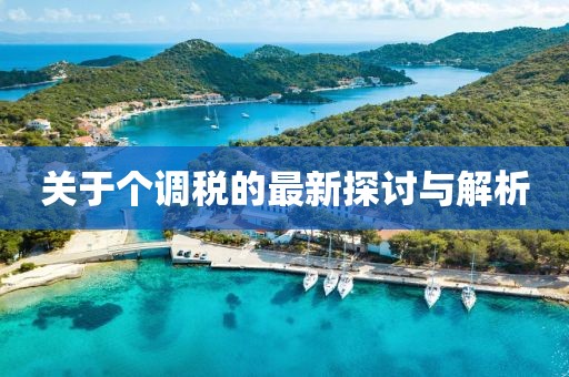 关于个调税的最新探讨与解析