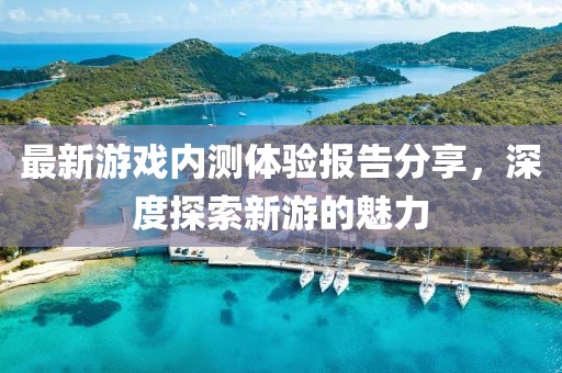 最新游戏内测体验报告分享，深度探索新游的魅力