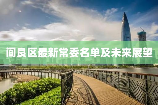 阎良区最新常委名单及未来展望