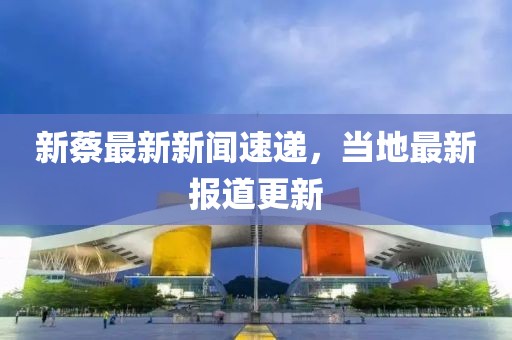 新蔡最新新闻速递，当地最新报道更新