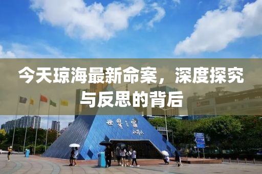 今天琼海最新命案，深度探究与反思的背后
