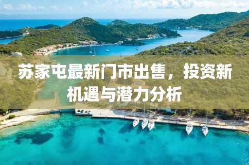 苏家屯最新门市出售，投资新机遇与潜力分析