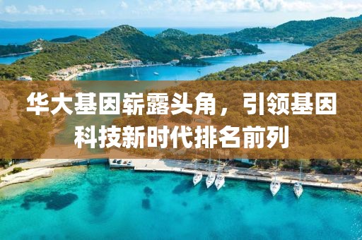 华大基因崭露头角，引领基因科技新时代排名前列