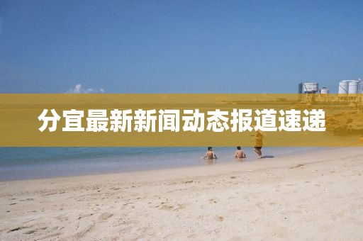 分宜最新新闻动态报道速递