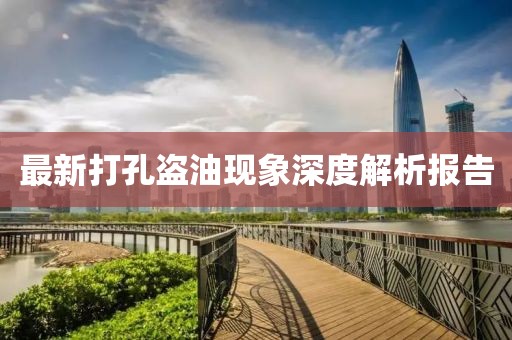 最新打孔盗油现象深度解析报告