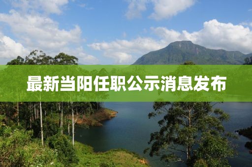 最新当阳任职公示消息发布
