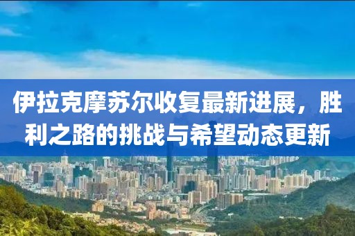 伊拉克摩苏尔收复最新进展，胜利之路的挑战与希望动态更新