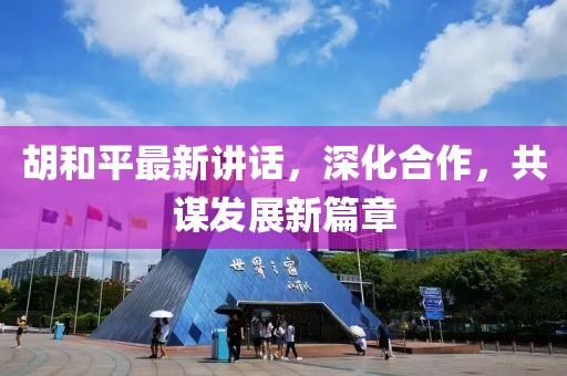 胡和平最新讲话，深化合作，共谋发展新篇章