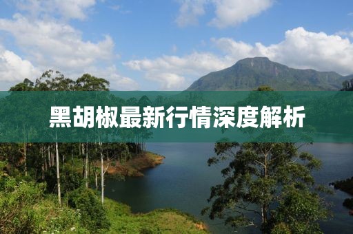 黑胡椒最新行情深度解析