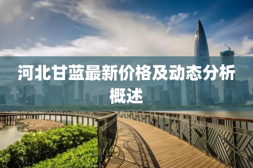 河北甘蓝最新价格及动态分析概述