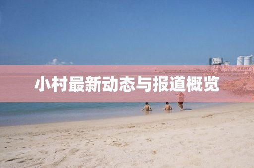 小村最新动态与报道概览
