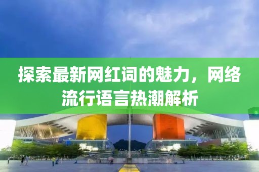 探索最新网红词的魅力，网络流行语言热潮解析