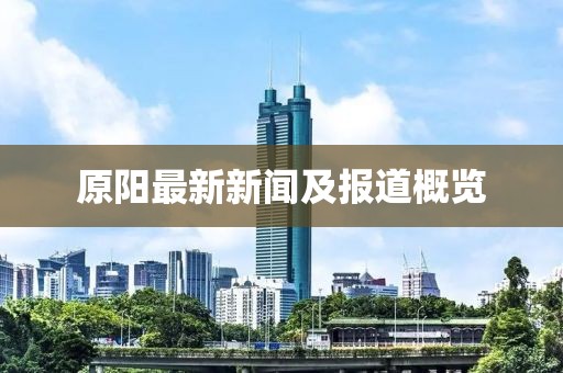 原阳最新新闻及报道概览