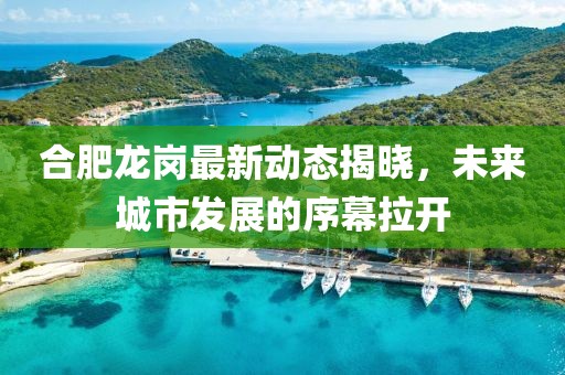 合肥龙岗最新动态揭晓，未来城市发展的序幕拉开