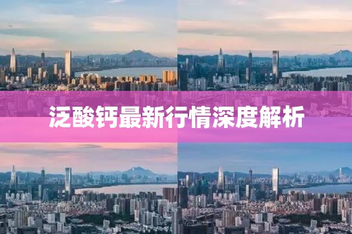 泛酸钙最新行情深度解析