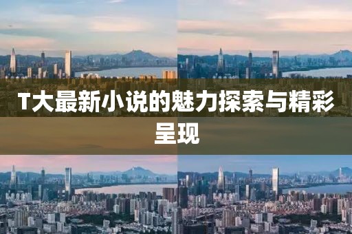 T大最新小说的魅力探索与精彩呈现
