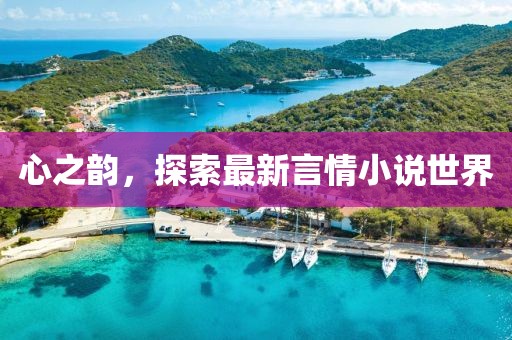 心之韵，探索最新言情小说世界